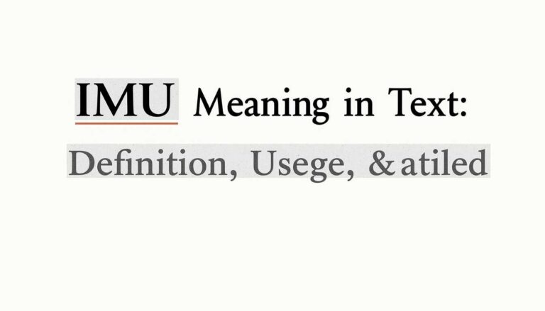 IMU Meaning in Text