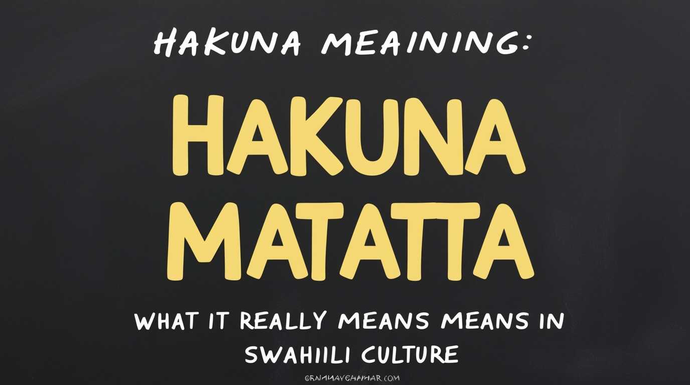 Hakuna Matata Meaning